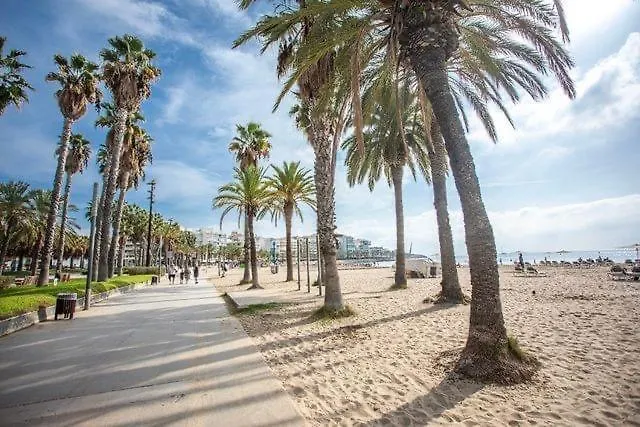Apartment Apartbeach Adriatico 111 Climatizado Y Vistas Playa La Pineda Spain